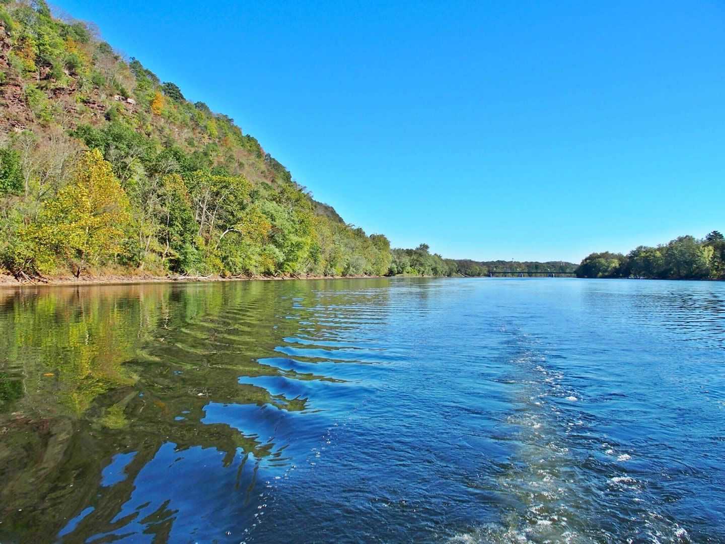 A large body of water surrounded by trees on a sunny day