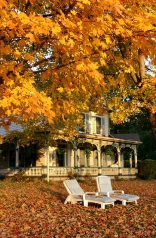 A house with a porch and chairs under a tree with yellow leaves