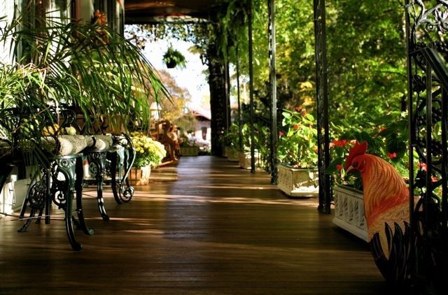 A wooden porch filled with lots of plants and flowers
