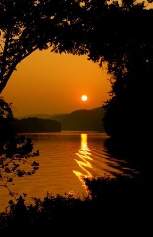 A sunset over a lake with trees in the foreground