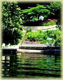 A dock with chairs and umbrellas on it is surrounded by trees