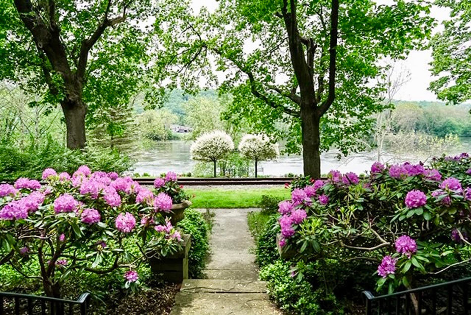A path in a garden with purple flowers and trees leading to a lake.