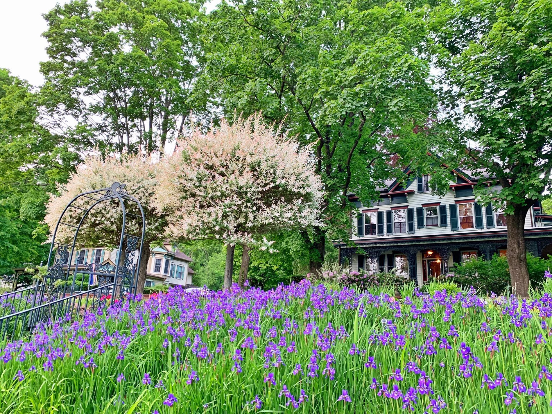 A large house is surrounded by purple flowers and trees.