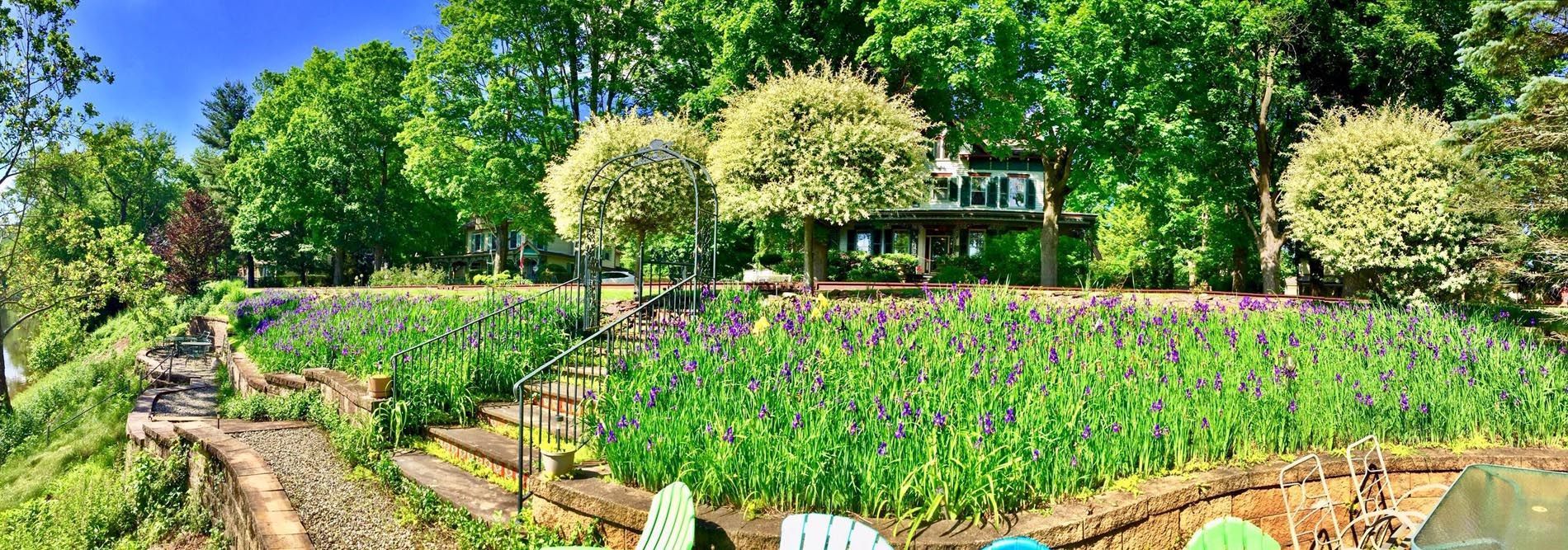 A group of people are sitting in a field of flowers in a park.
