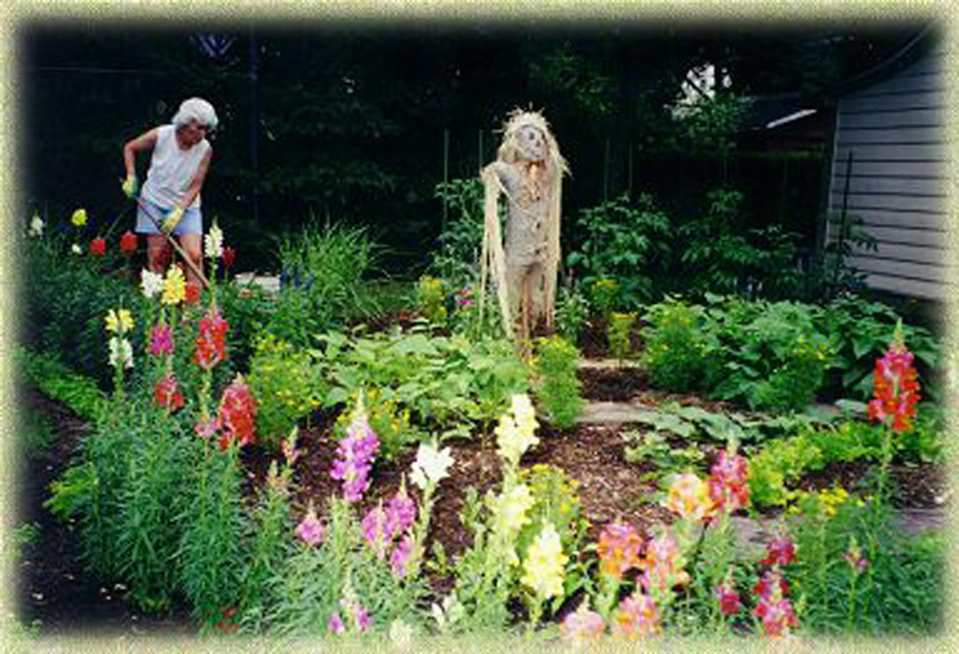 A scarecrow is in the middle of a garden with flowers