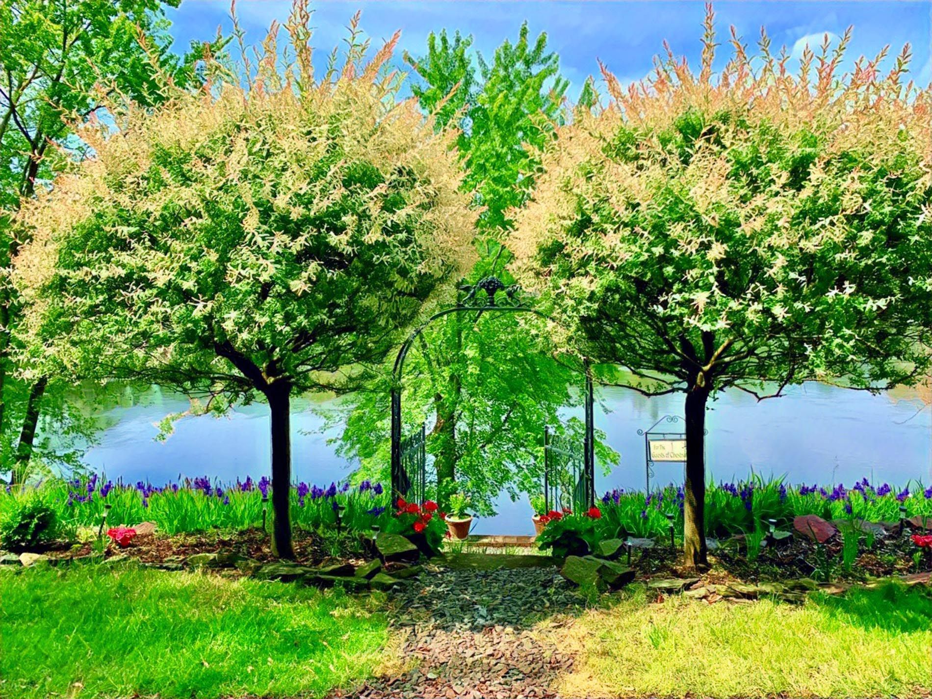 A painting of trees in a park with a lake in the background