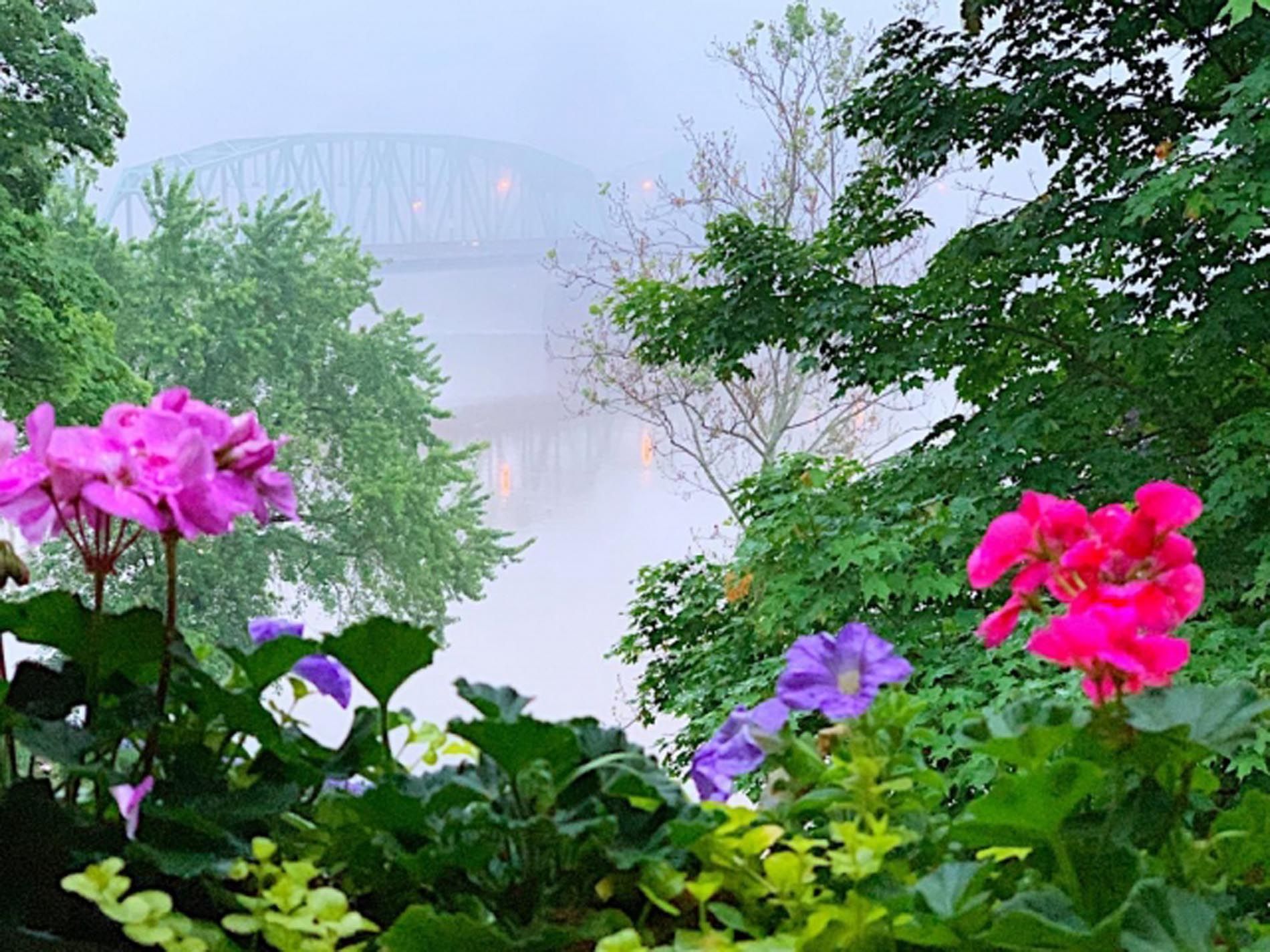 A bridge is visible through the trees and flowers in the foreground