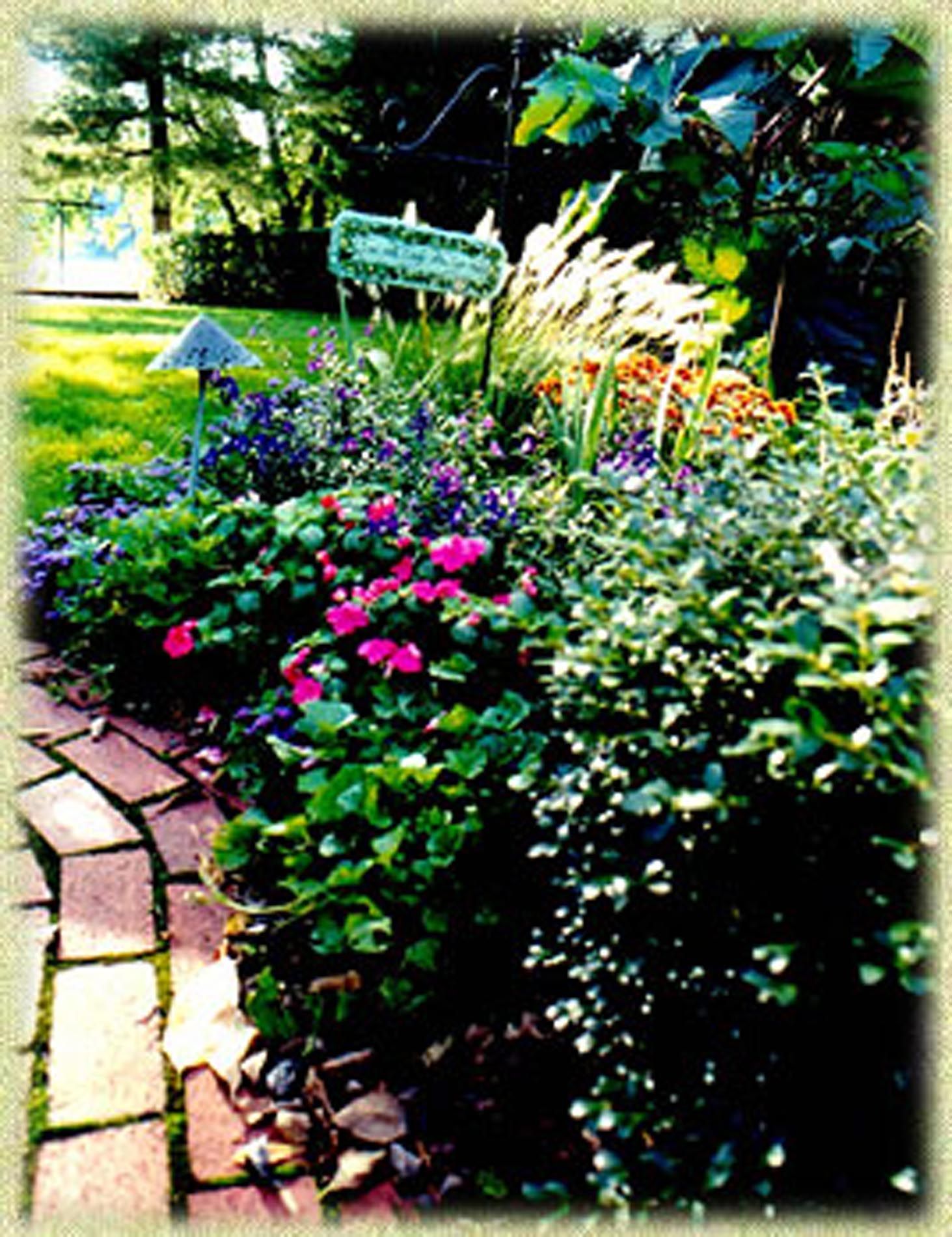 A garden with purple flowers and a sign that says 
