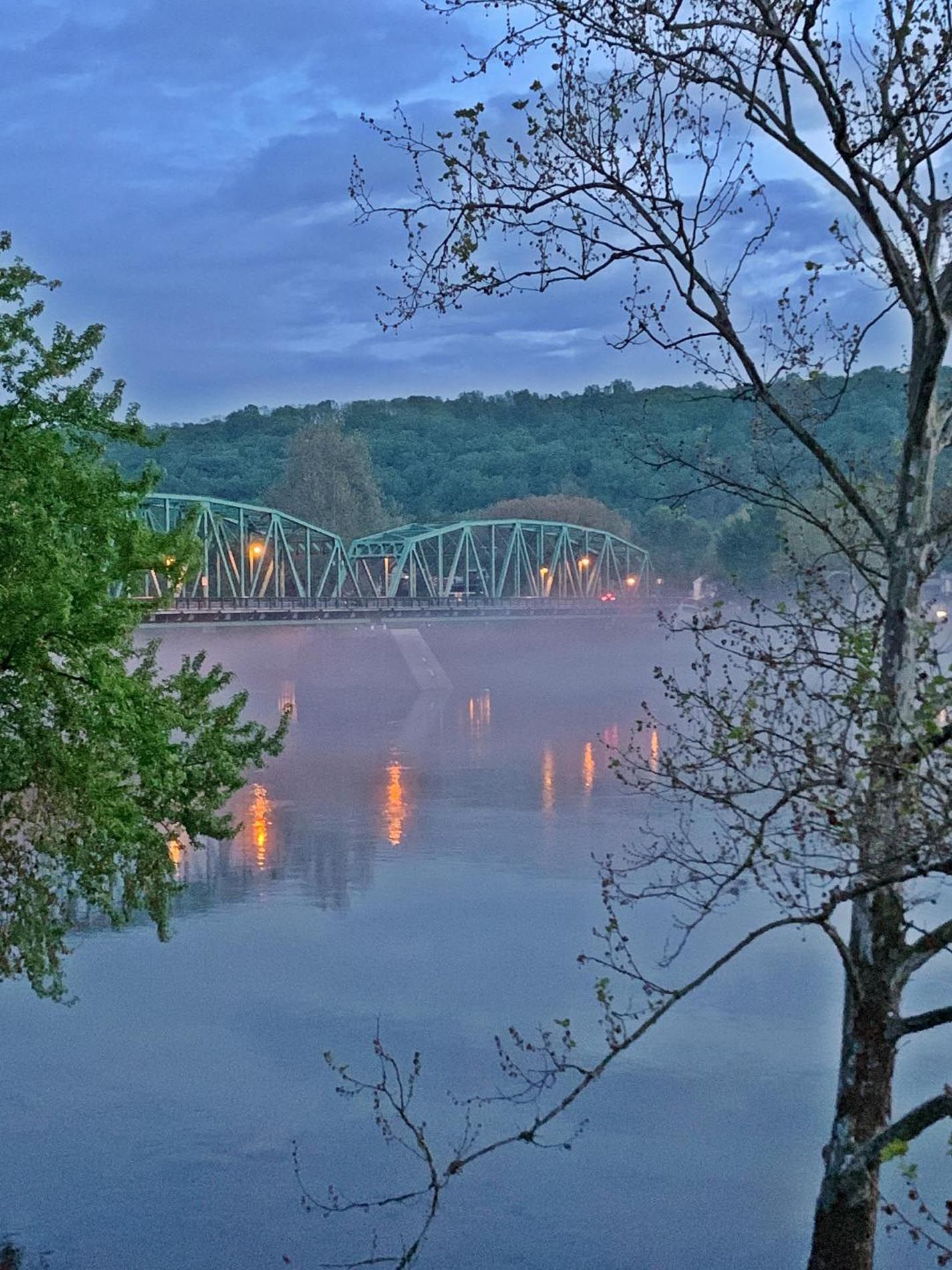 A bridge over a body of water with trees in the foreground