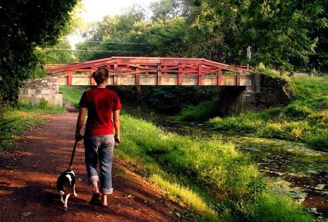 A woman is walking a dog on a leash on a path.
