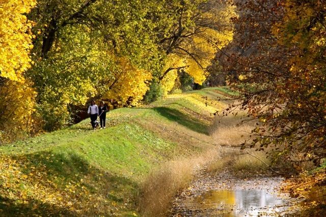 A couple is walking a dog down a path in the woods.