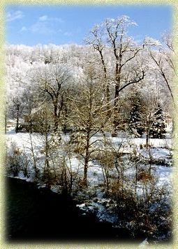 A snowy forest with trees covered in snow and a river in the foreground.
