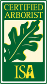 A certified arborist isa logo with an oak leaf