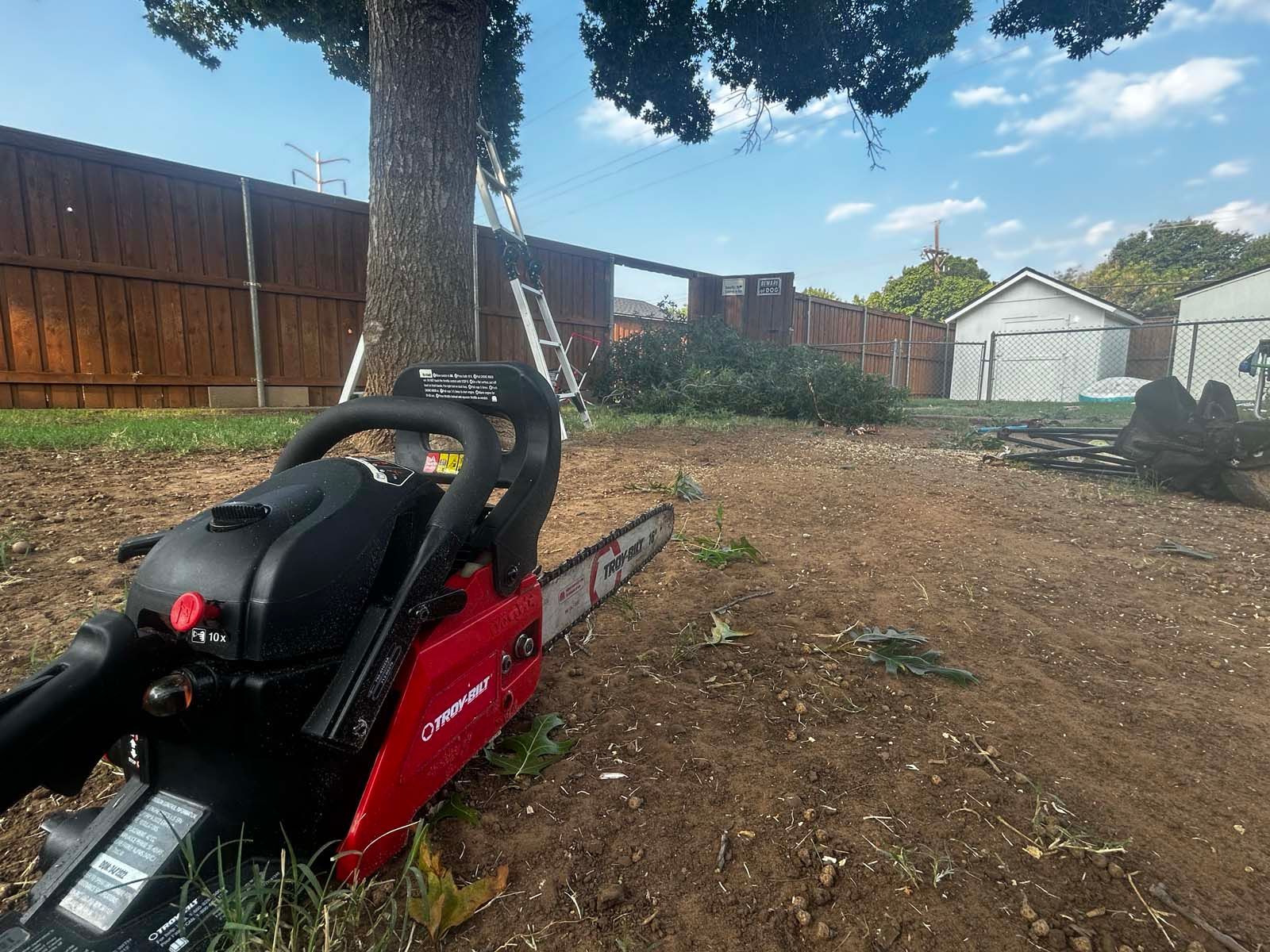 A red chainsaw is sitting in the dirt next to a tree.