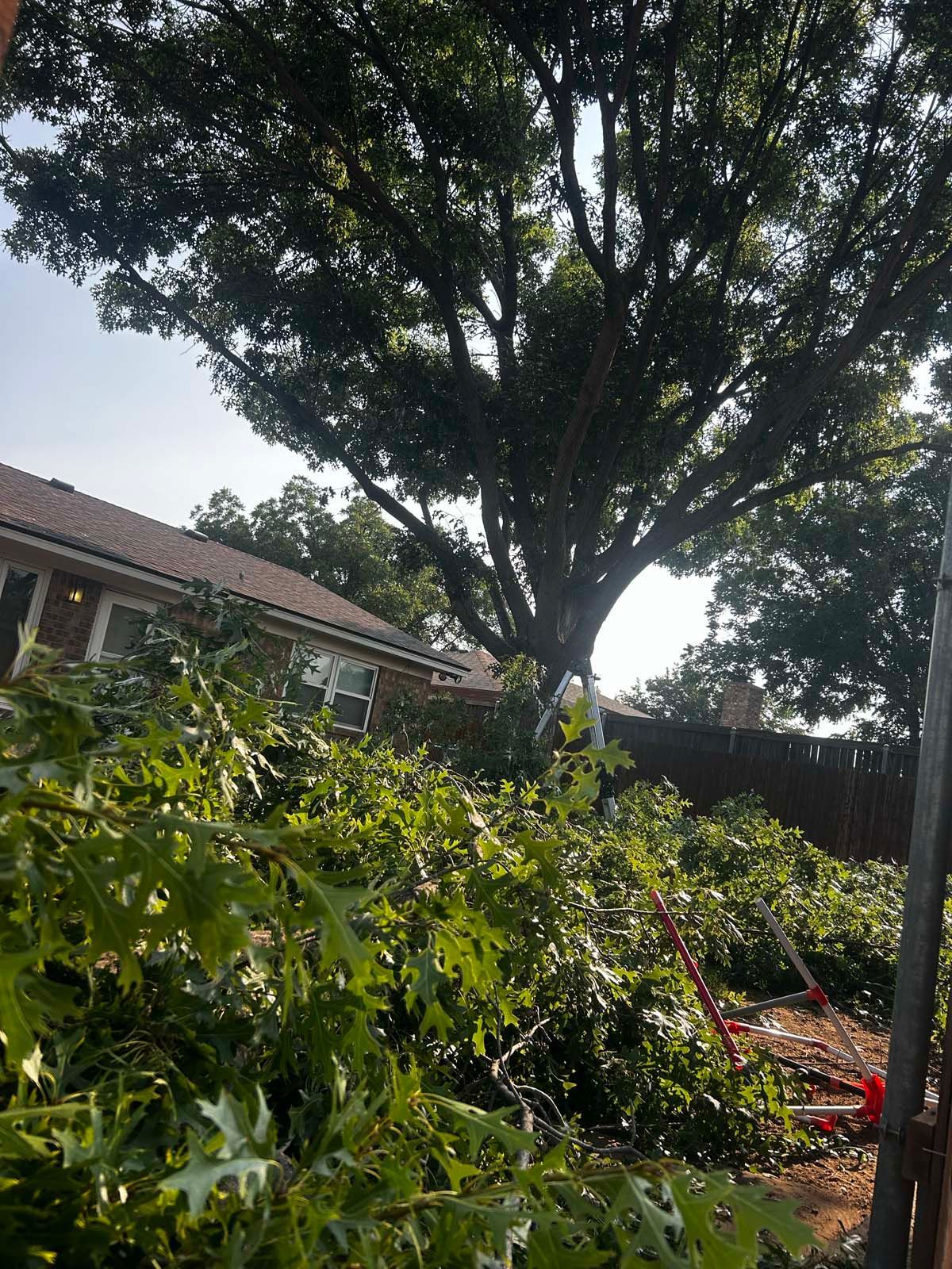 A large tree is being cut down in front of a house.