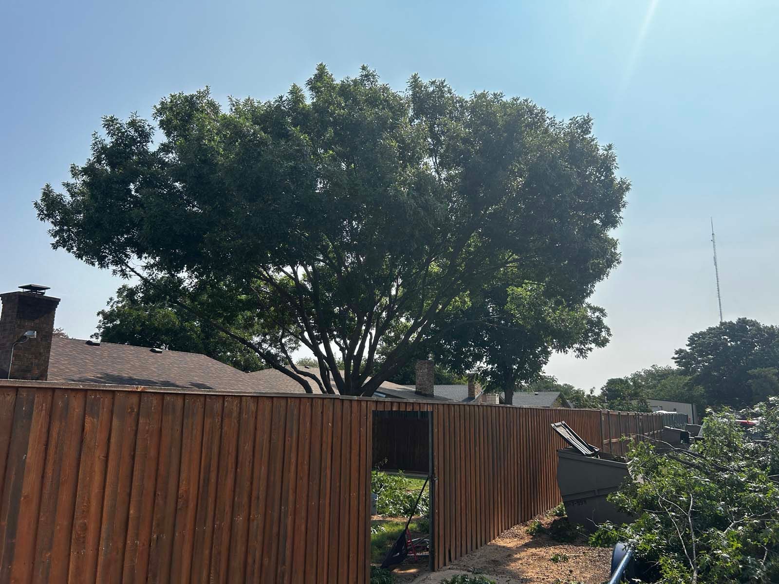 A large tree is behind a wooden fence in front of a house.