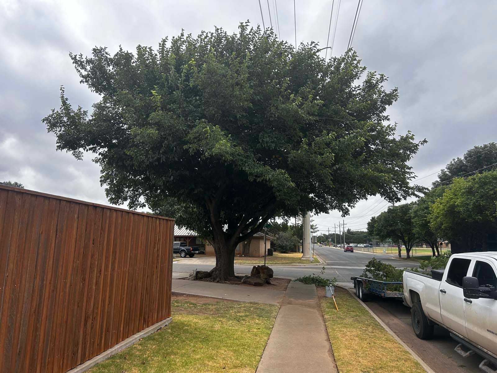 A white truck is parked on the side of the road next to a tree.