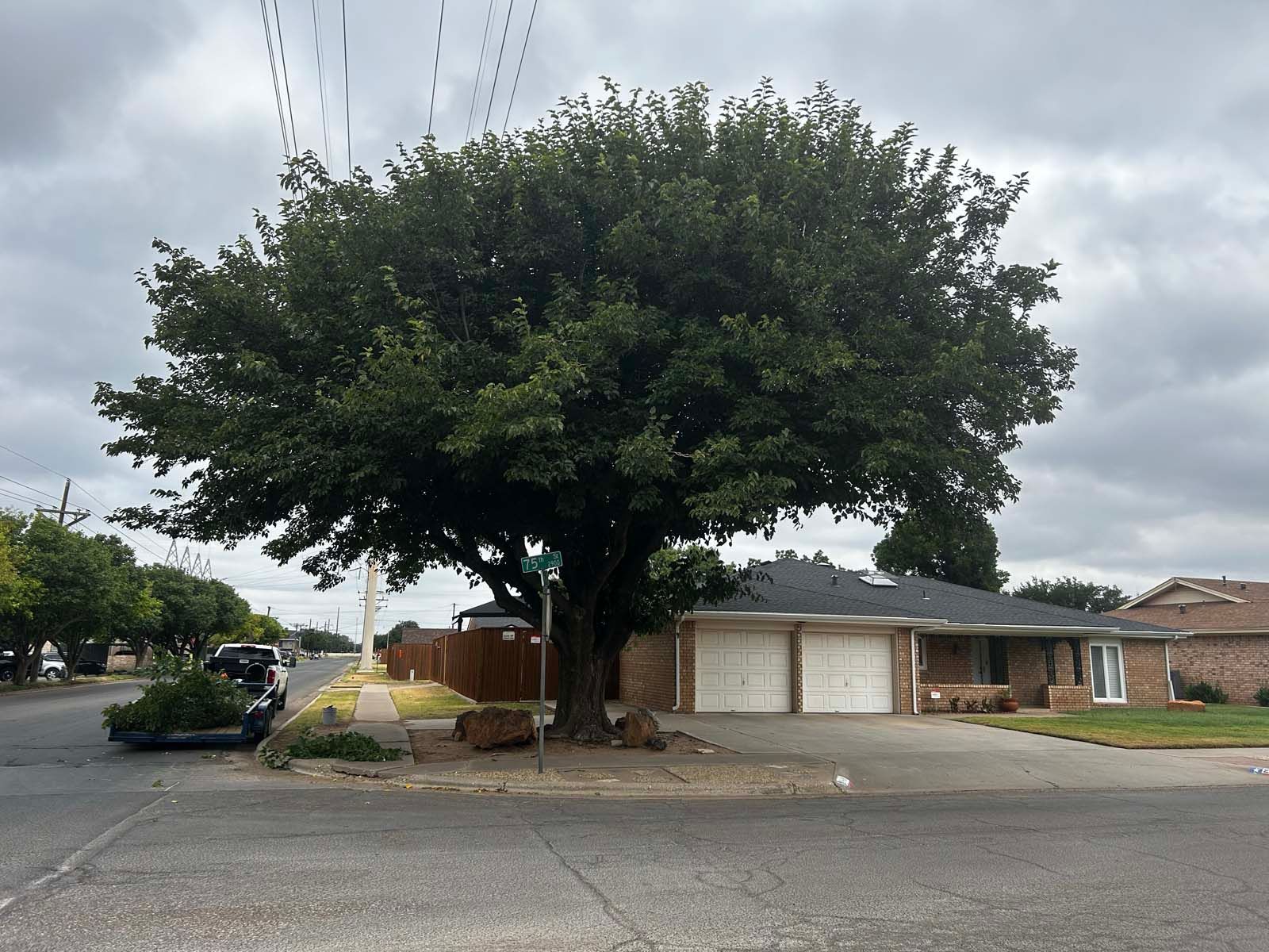 A house with a garage and a tree in front of it