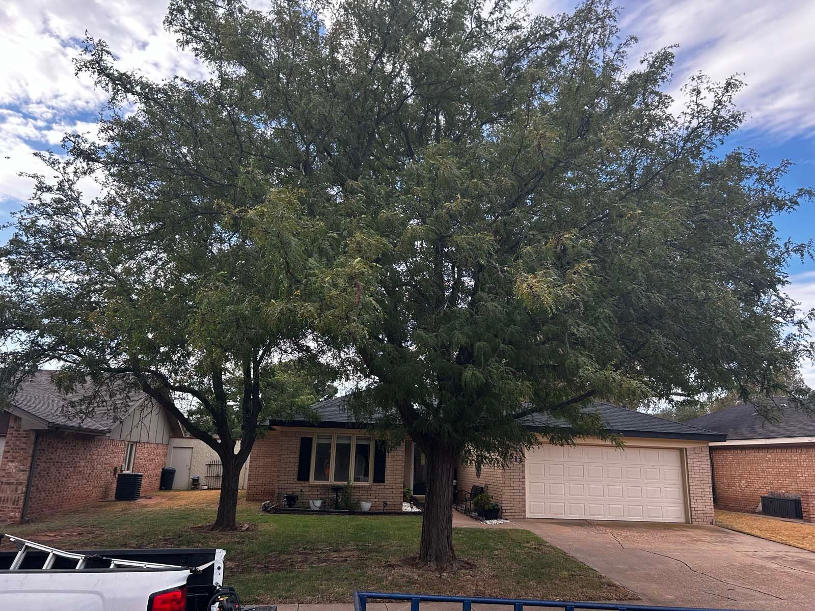 A truck is parked in front of a house with a large tree in front of it.