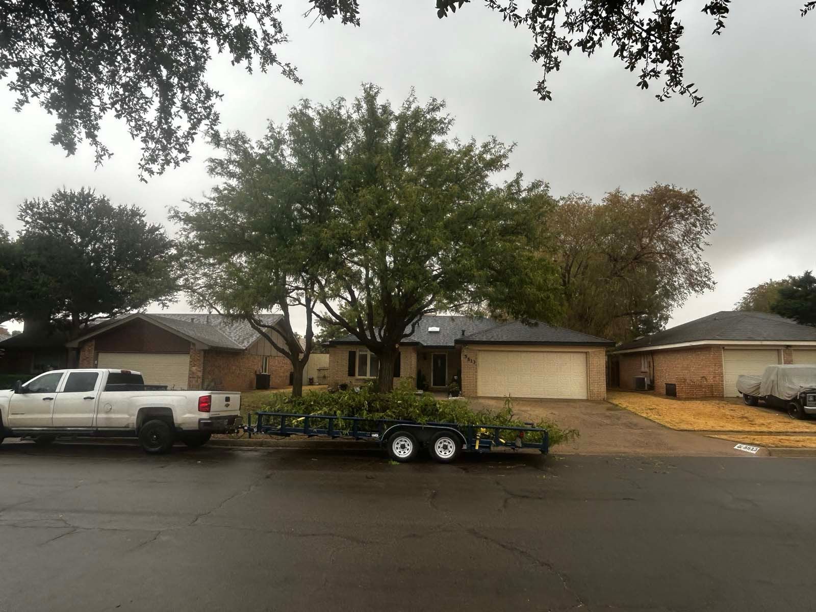 A truck is pulling a trailer with a tree on it in front of a house.