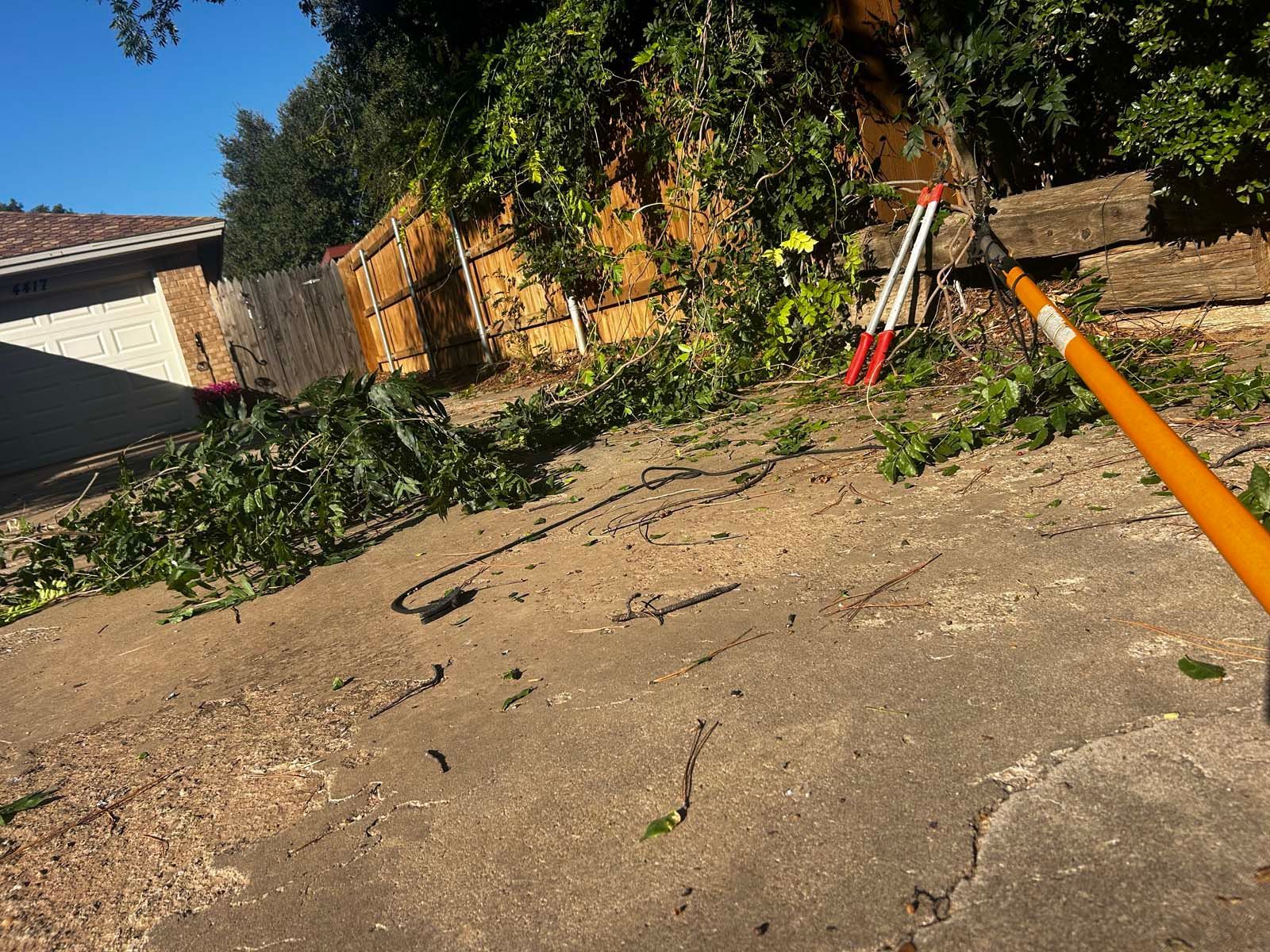 A person is cutting a tree with a pair of scissors.
