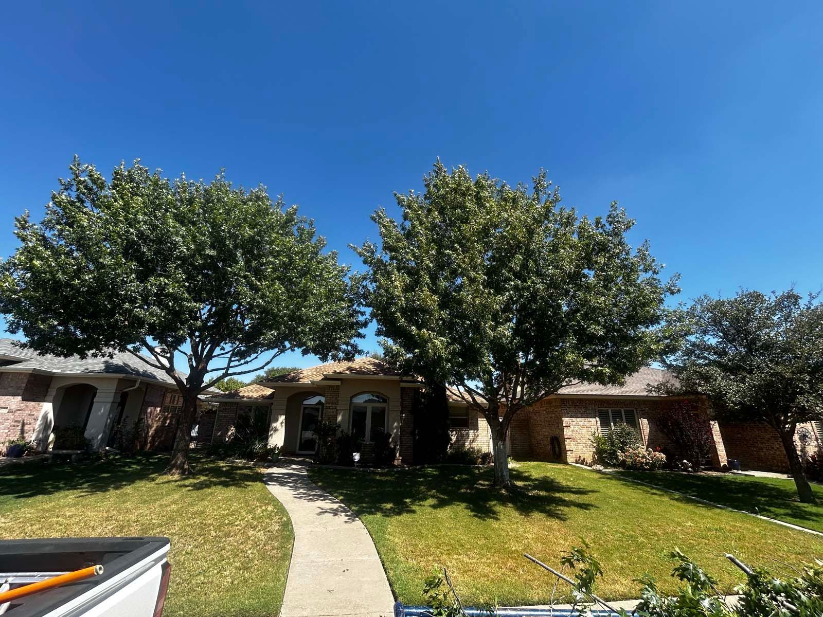 A house with a lot of trees in front of it.