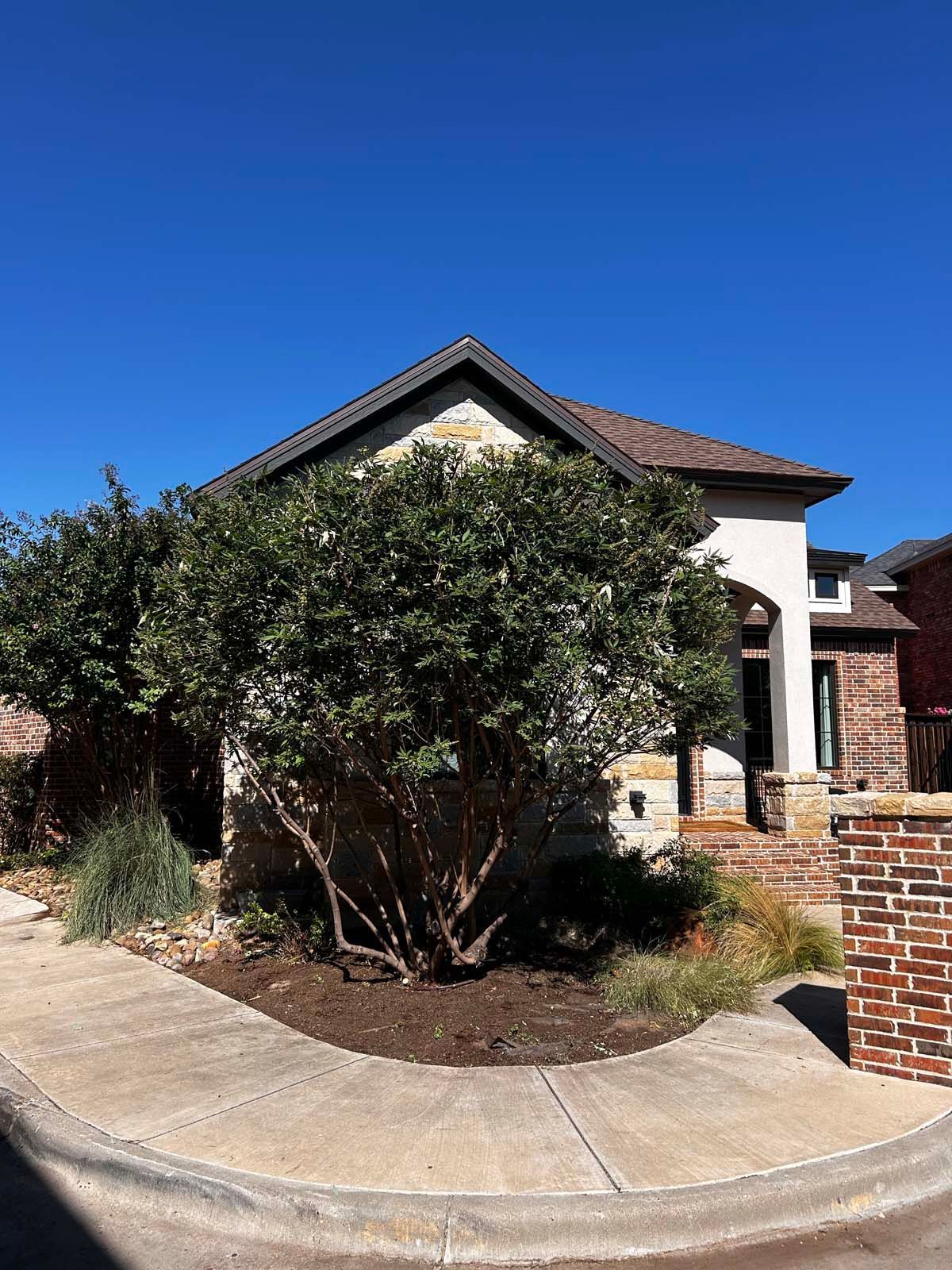 A house with a brick wall and a tree in front of it.