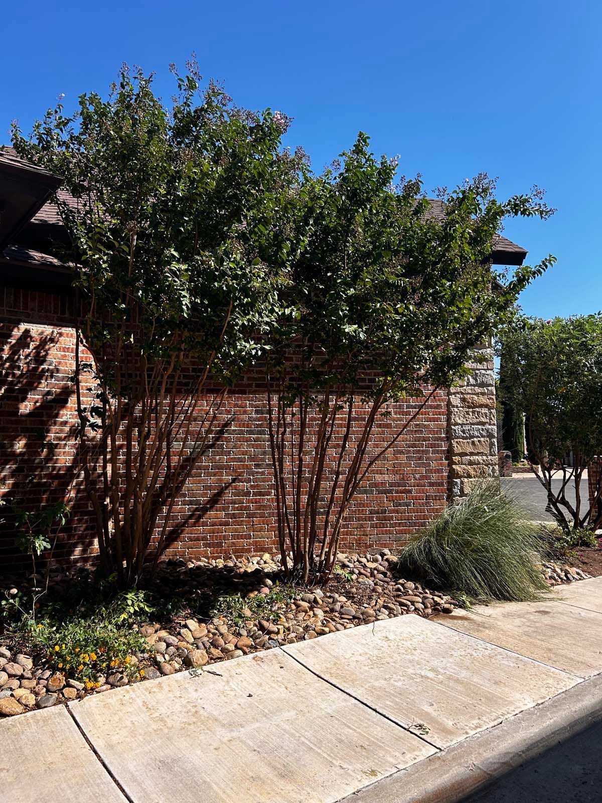 A brick wall with a tree in front of it and a sidewalk.