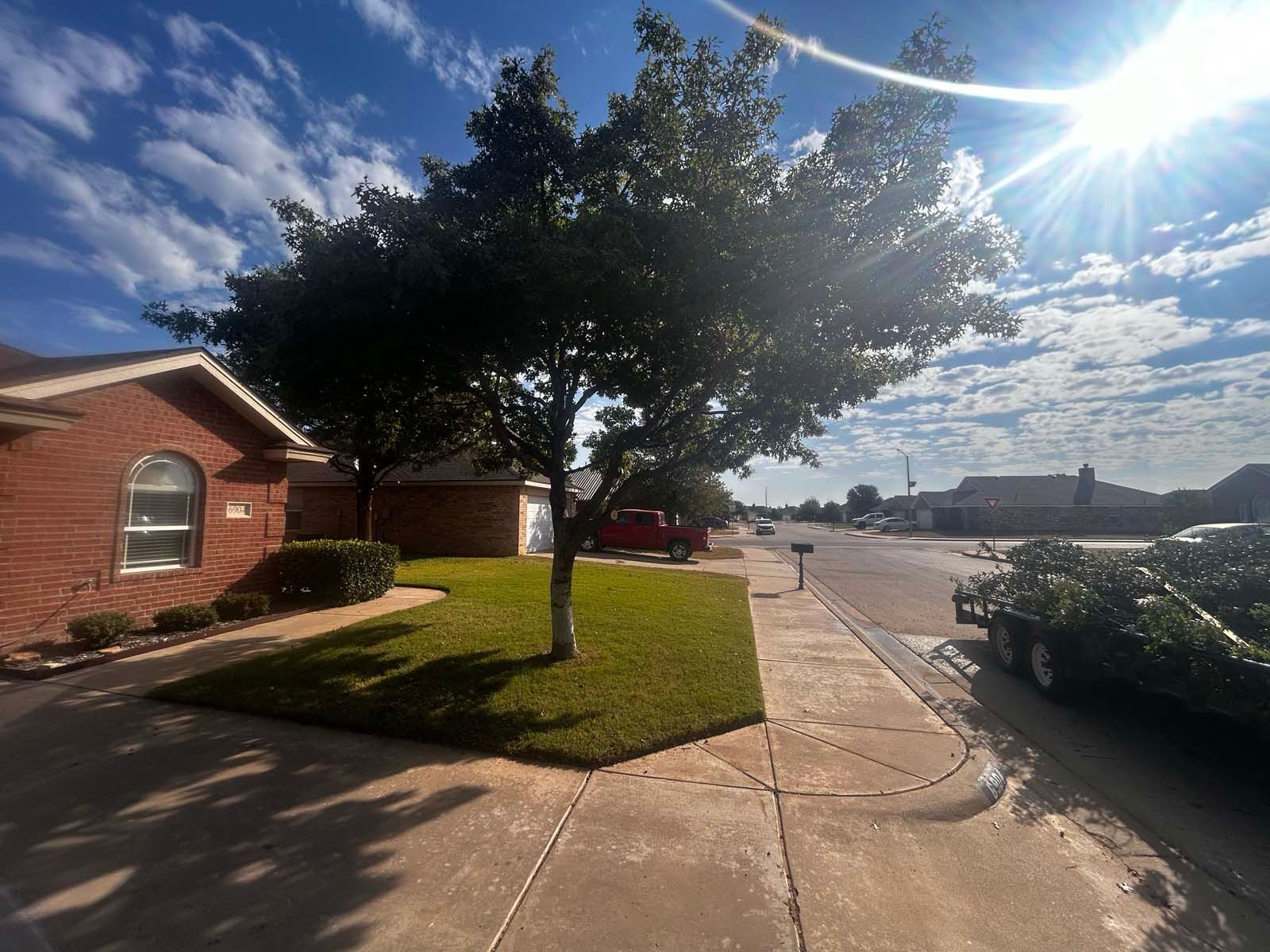 A brick house with a tree in front of it