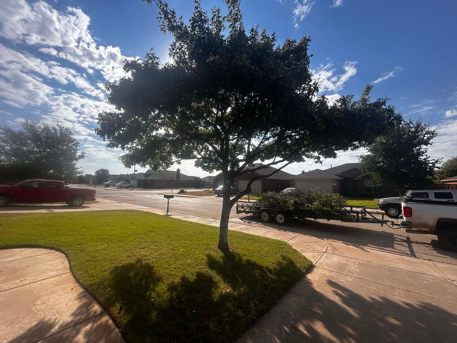 A white truck is parked in front of a tree