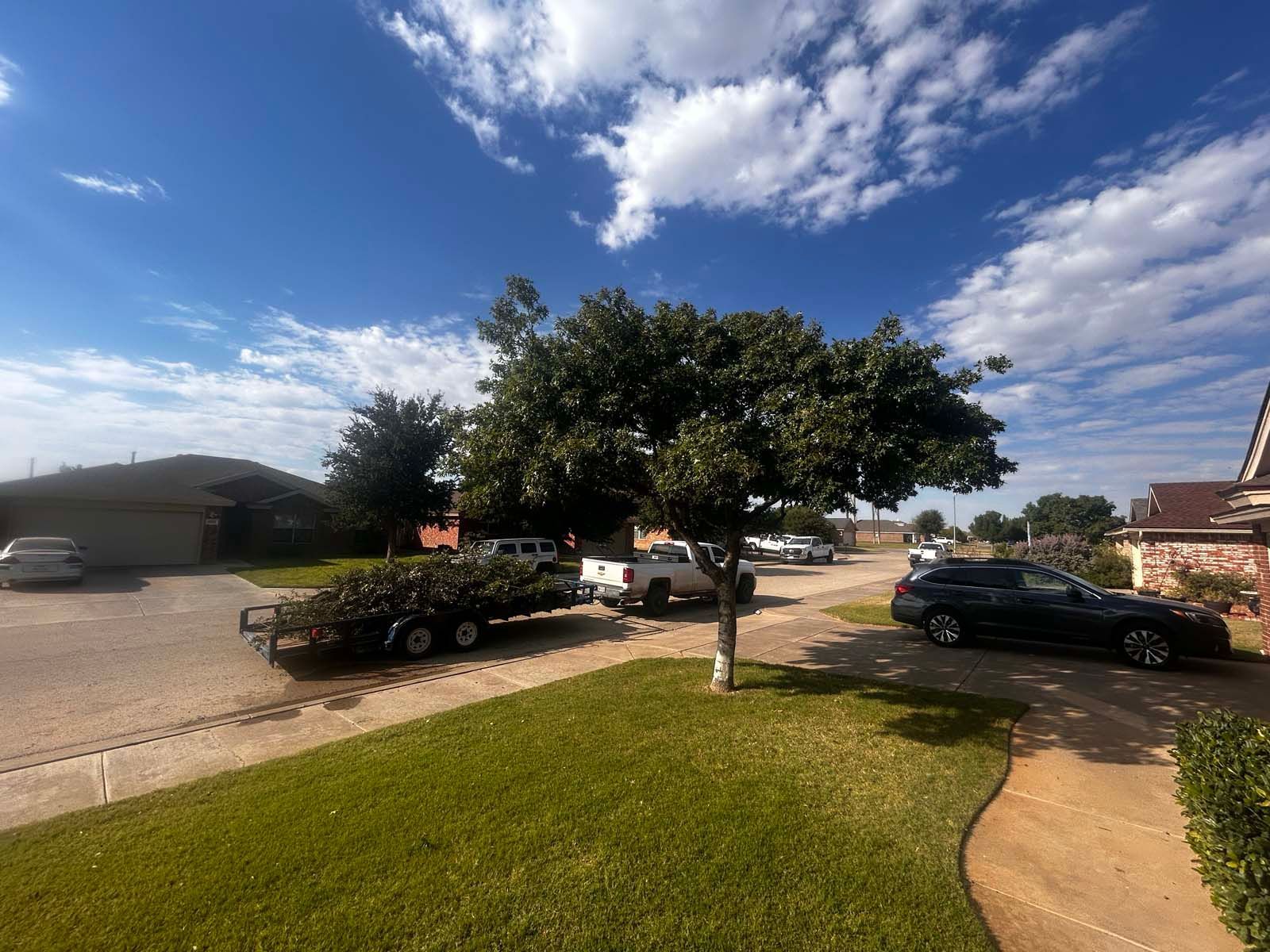 A truck is towing a trailer with a tree on it.