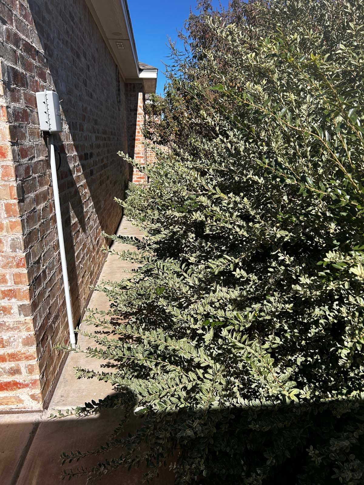 A sidewalk leading to a brick building with trees on the side of it.