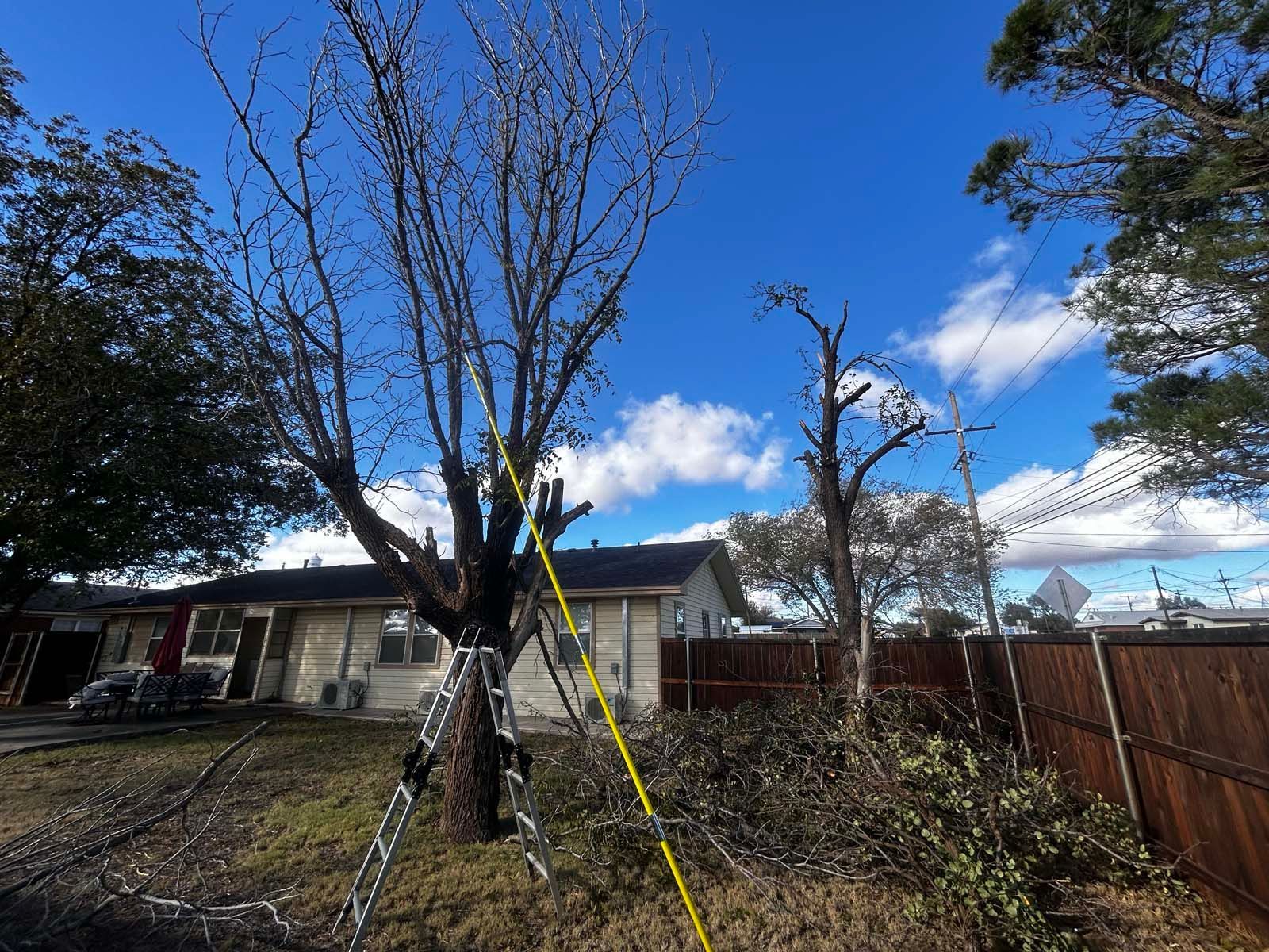 A man is standing on a ladder in front of a house cutting a tree.