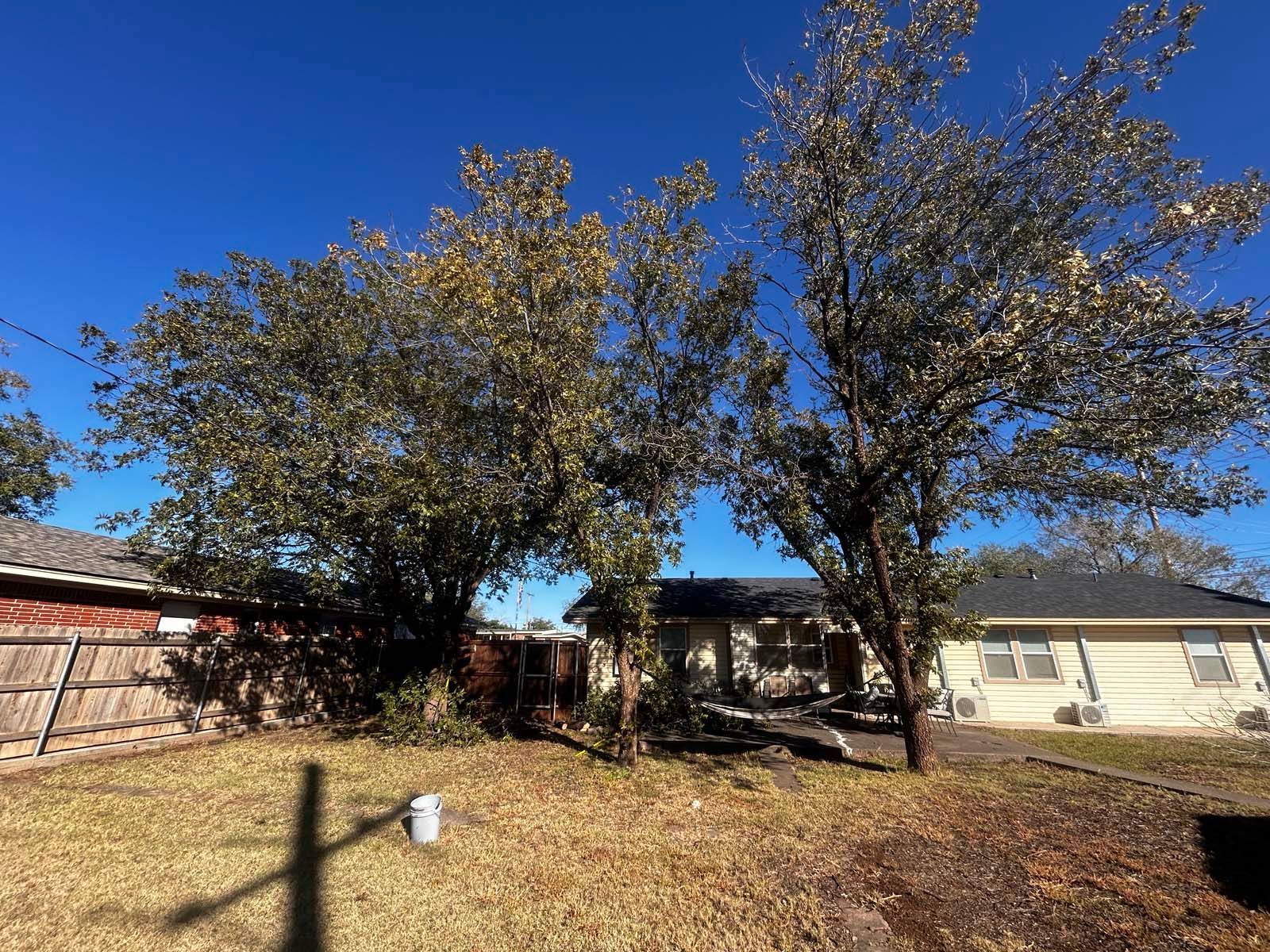 A house with a lot of trees in front of it.