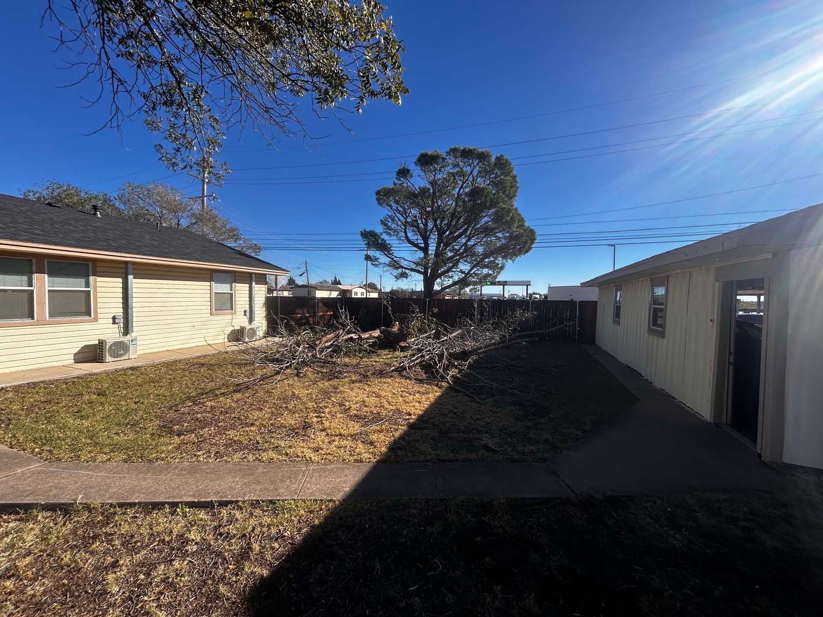 There is a tree in the backyard of a house.