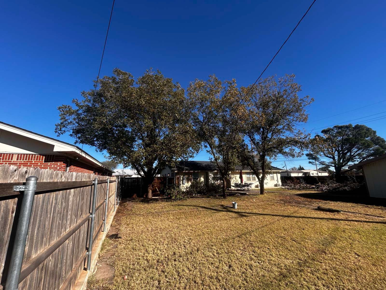 A backyard with a wooden fence and trees in front of a house.