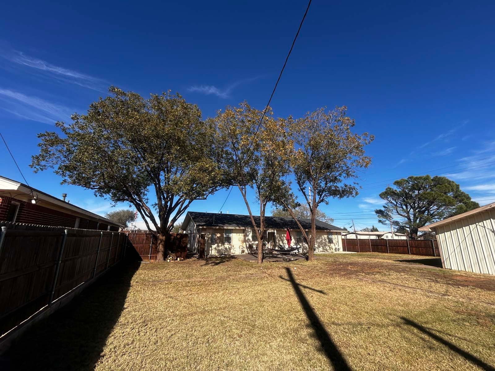A backyard with a fence , trees and a house in the background.