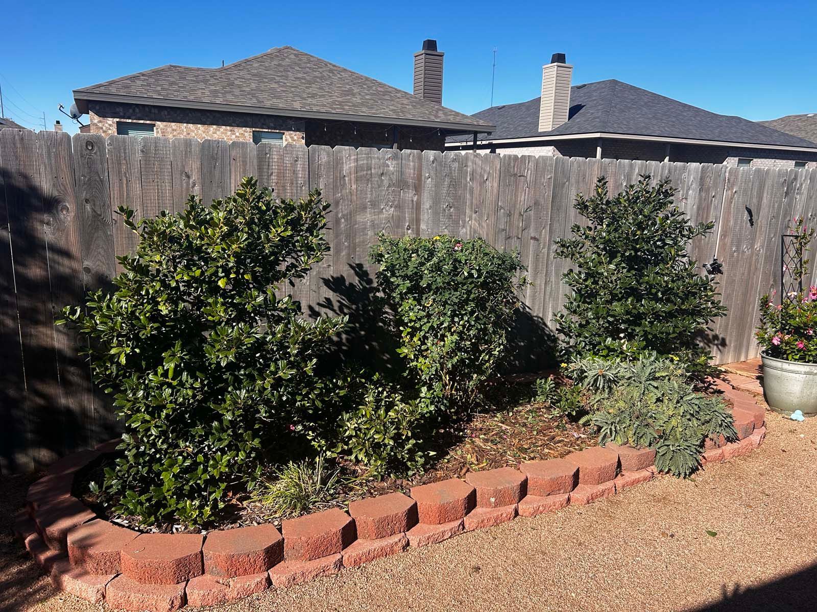 A wooden fence surrounds a garden with a house in the background