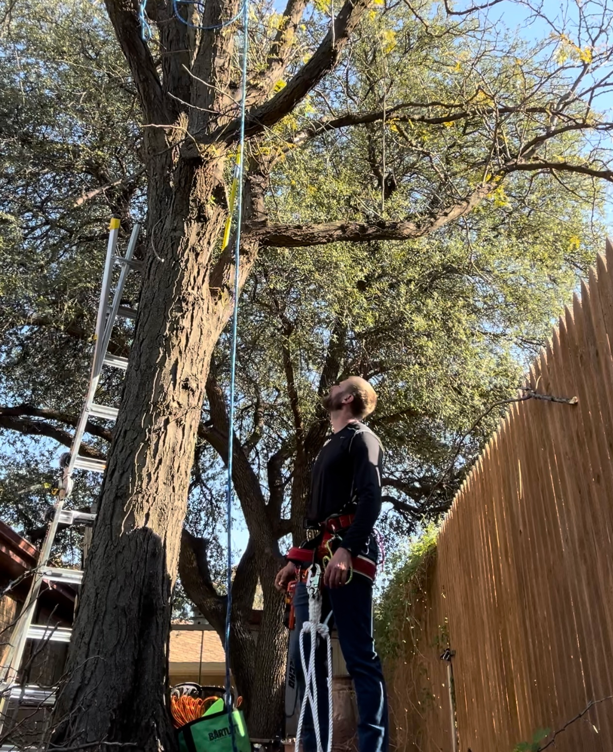 A brick house with a garage and a tree in front of it.