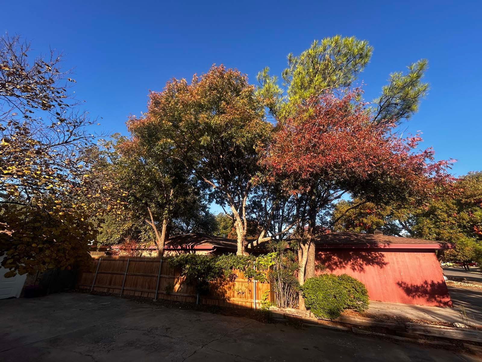 A red garage with a lot of trees in front of it