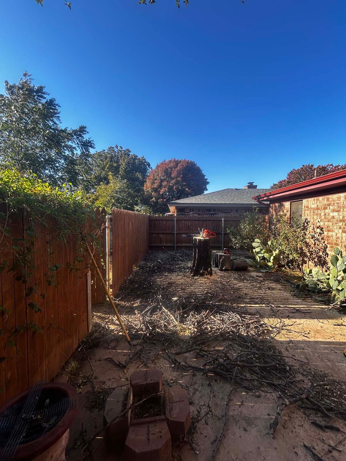 A backyard with a wooden fence and a lot of branches.