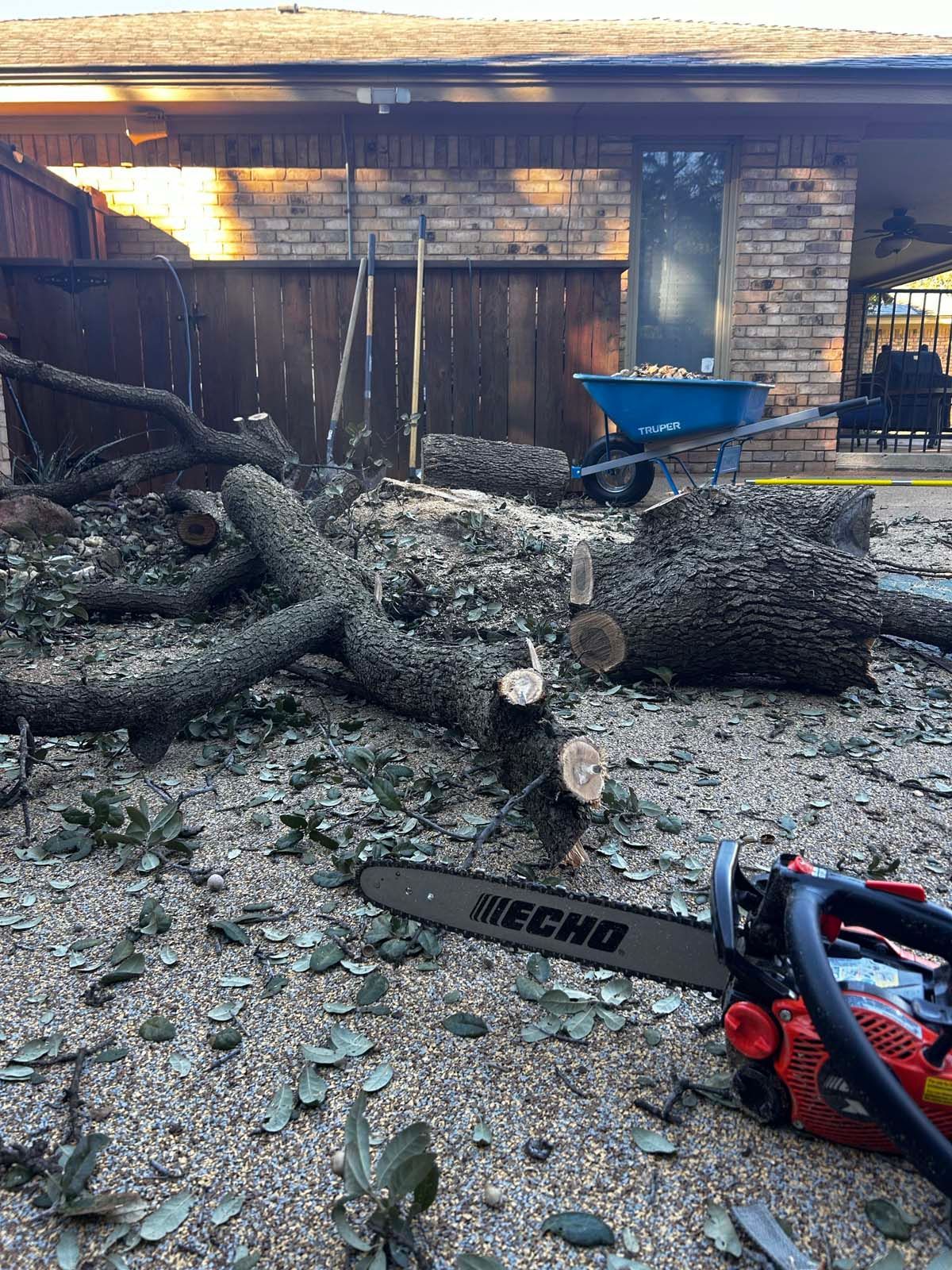 A chainsaw is sitting on the ground next to a pile of logs.