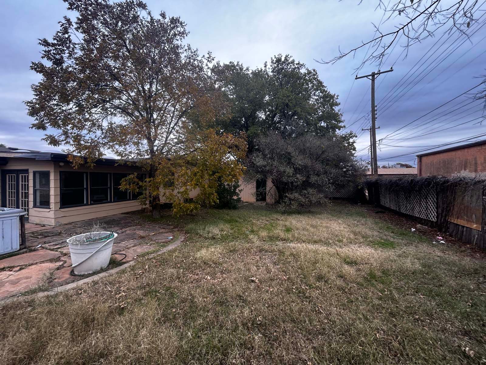 The backyard of a house with a large tree in the middle of it.