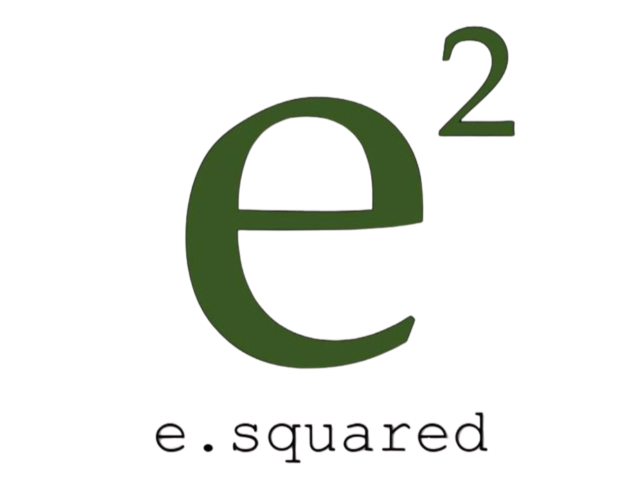 E.Squared Custom Plumbing Heating and Air