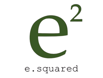 E.Squared Custom Plumbing Heating and Air