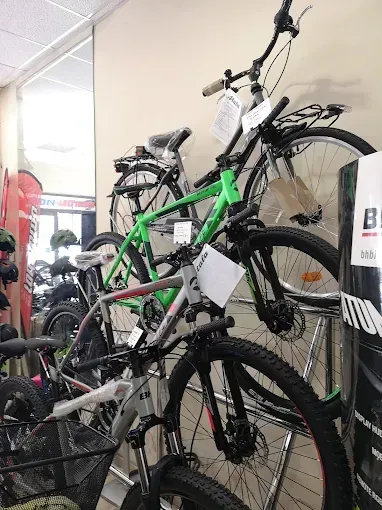 Biciclette esposte su una rastrelliera all'interno di un negozio. Una è verde, le altre sono nere e grigie.