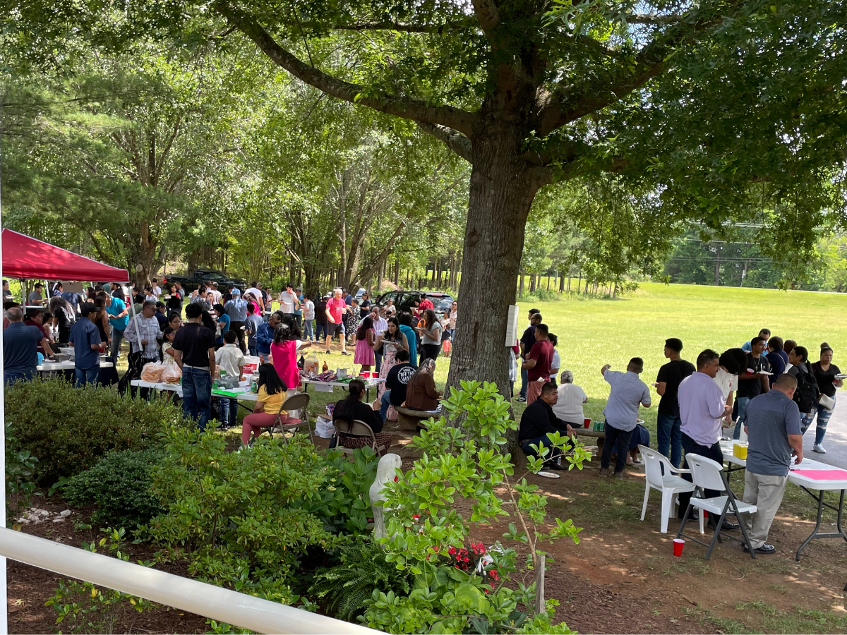 A large group of people are gathered under a tree in a park.
