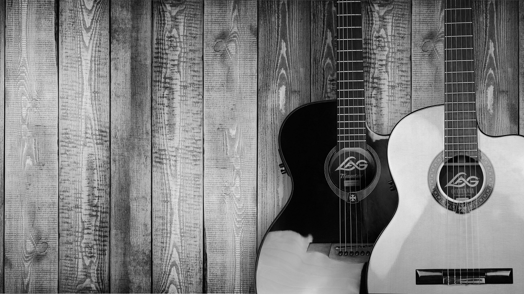 zwart en witte gitaar