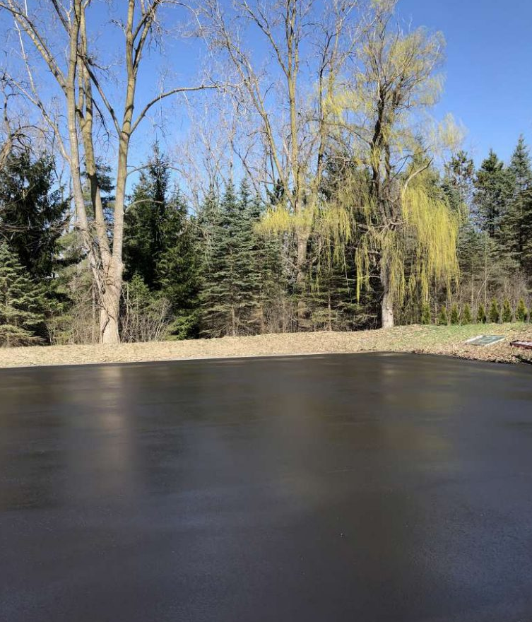 A large body of water surrounded by trees on a sunny day.