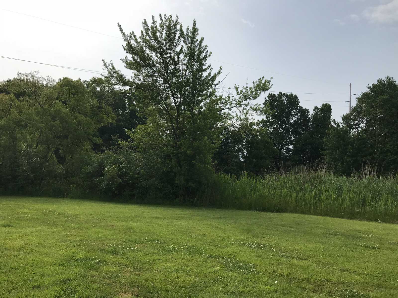 Century 21 Wilbur Realty The Pines Condominium Association